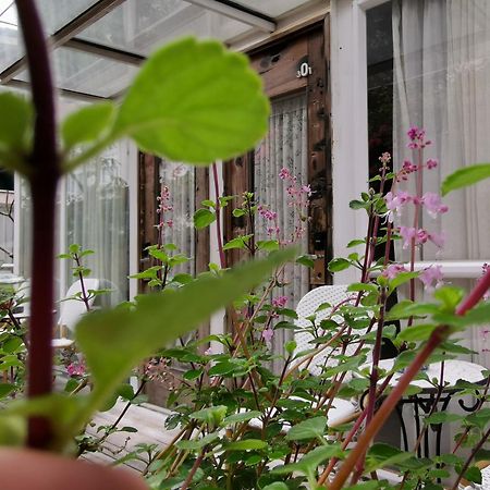 Shenzhen No'6 Garden Villa --French Window With Garden View,Close To Sea World &Shekou Ferry Port &K11 Ecoast &Subway Nearby ,Offer Western Food And Coffee &English Speaking With Tour Services Eksteriør billede